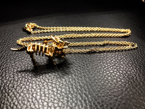 アクセサリーのCOACH