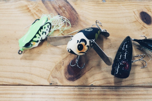 20年01月15日：画像６