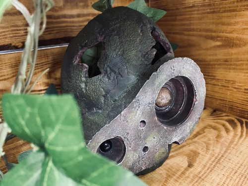 プランターのジブリ