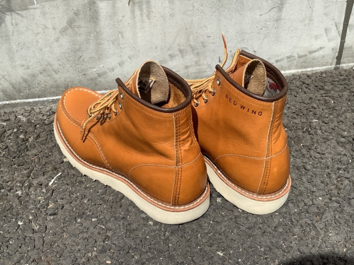 アイリッシュセッター 6インチモックのRED WING