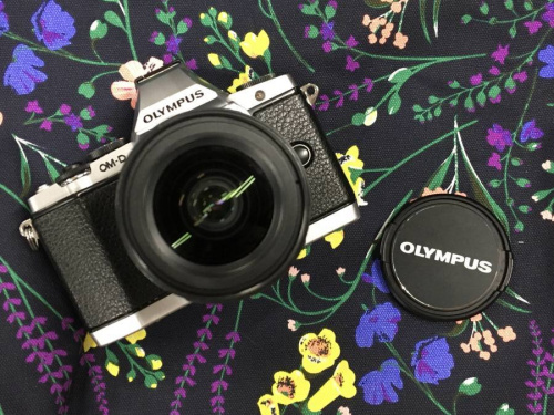 デジタル家電のミラーレスカメラ