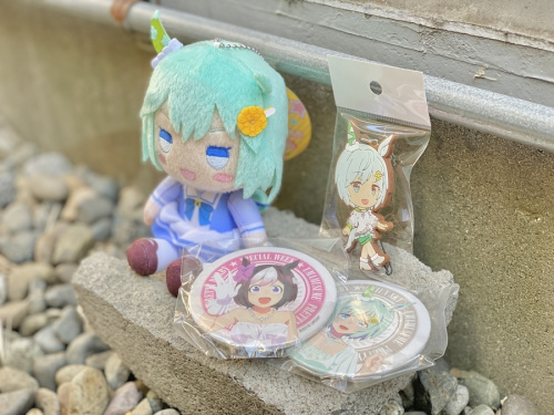 ホビーのアニメグッズ