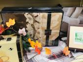 トレファク神戸新長田店ブログ