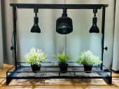 トレファク神戸新長田店ブログ