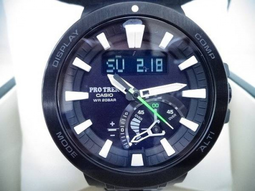 ÏÓ»þ·×¤ÎCASIO¡¡PRO TREK