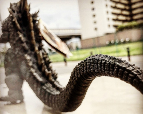 19年08月15日：画像７