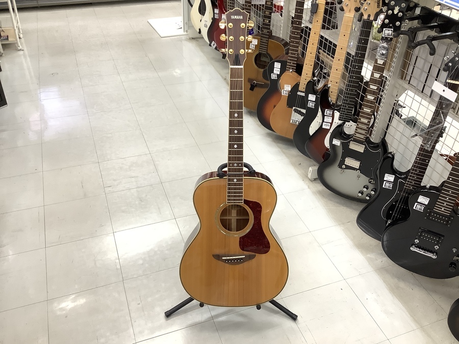 YAMAHA（ヤマハ）のアコースティックギターLS-10を紹介します