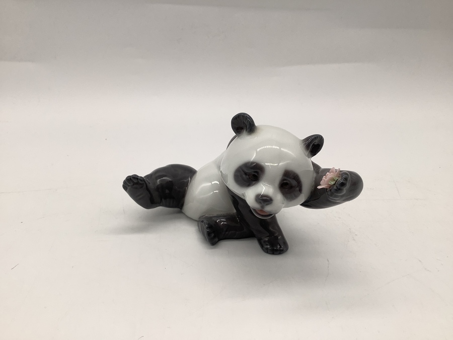 リヤドロリトルパンダ