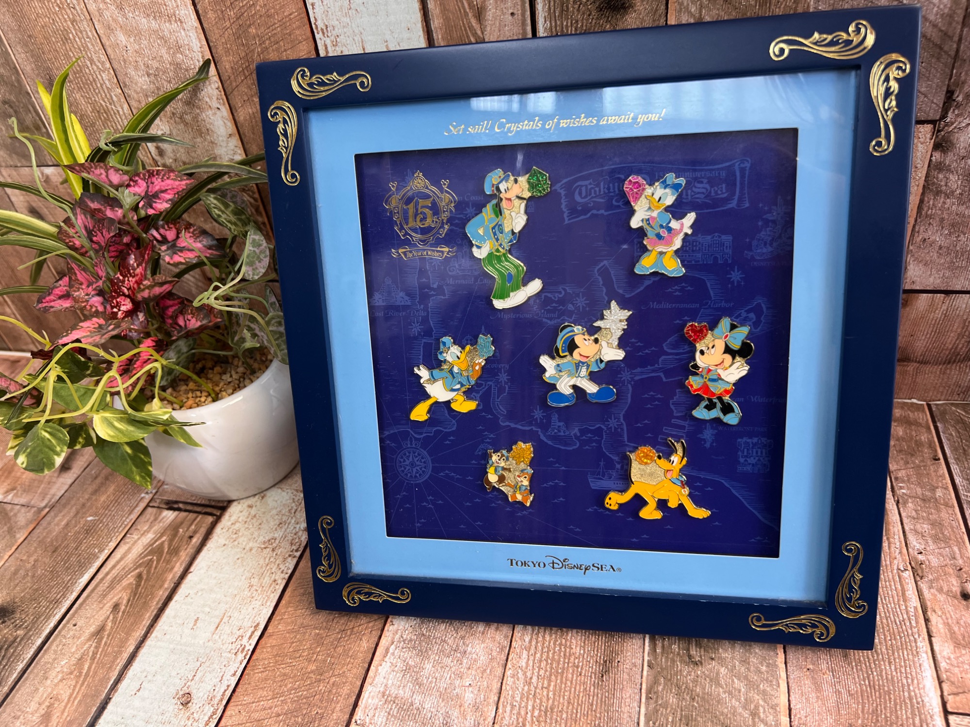 【ディズニーファンの貴方様へ】米国ディズニー３５周年記念ピン12個セット完全版 Disney SEA(ディズニーシー) ピンズセット】買取入荷しました