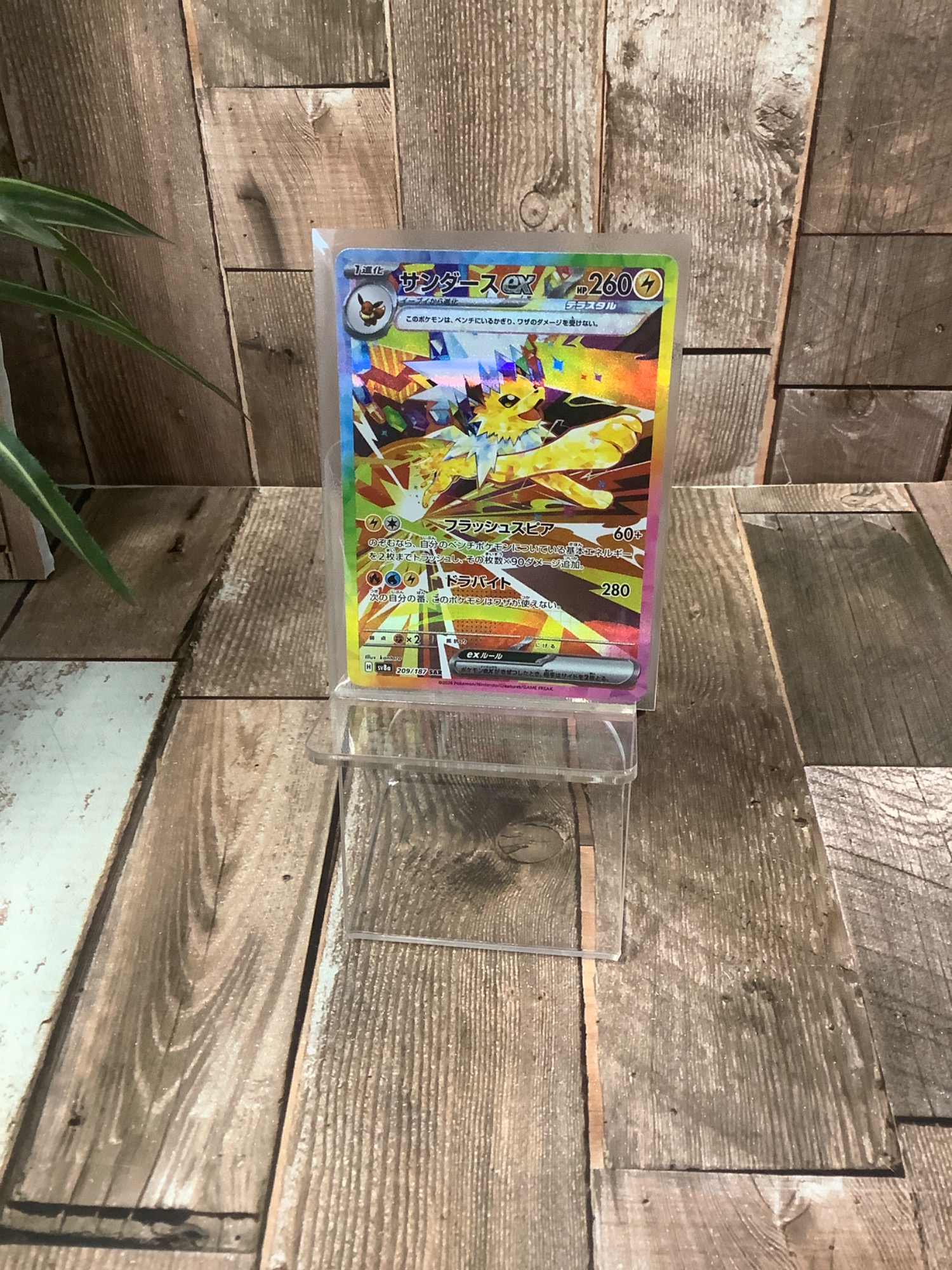 ポケモンカード サンダースex SAR】買取入荷しました！ ｜2025年10月19