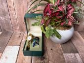 トレファク練馬店ブログ