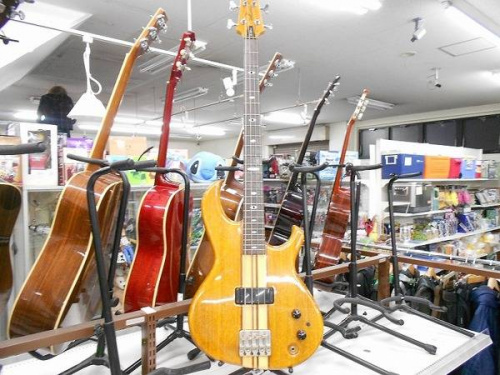 楽器・ホビー雑貨のベース