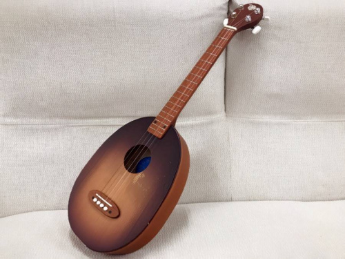 ヤナイギターの一五一会