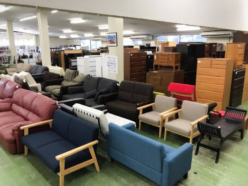 カルティニチェアの木