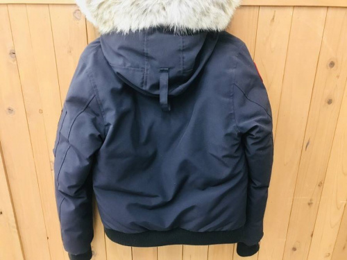 ダウンジャケットのラブラドール