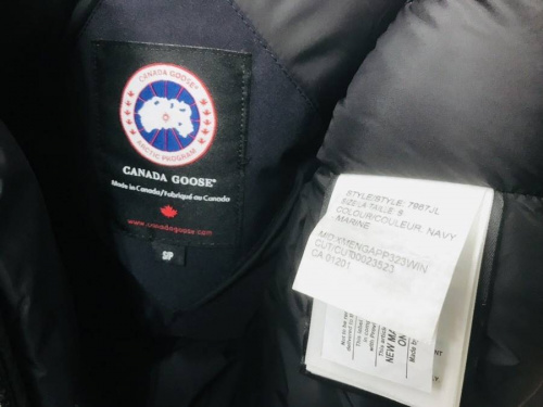 ラブラドールのCANADA GOOSE