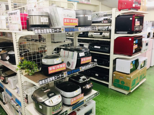 バルミューダのファミリータイプ