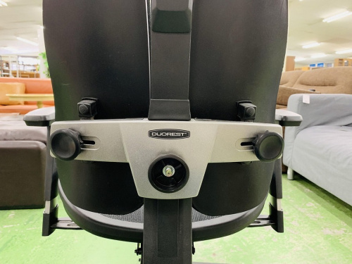 チェアのデュオレスト