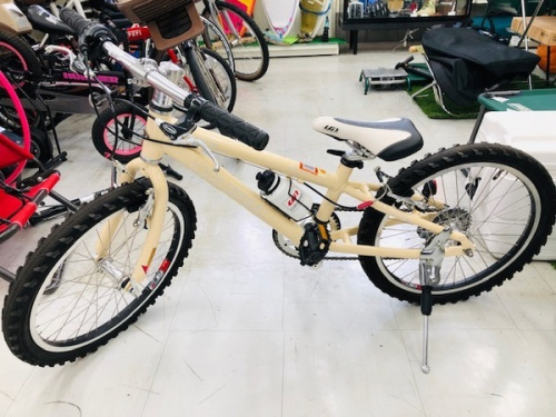 自転車のマウンテンバイク