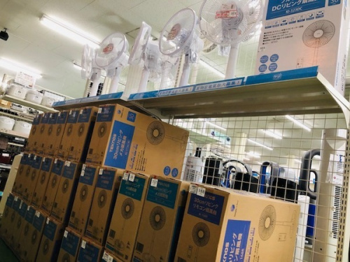 季節家電の扇風機