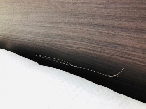 板橋　練馬　中野　池袋　中古　買取のニトリ