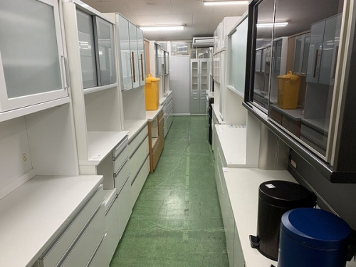 19年11月22日:画像7