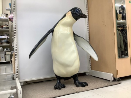 ペンギンの動物