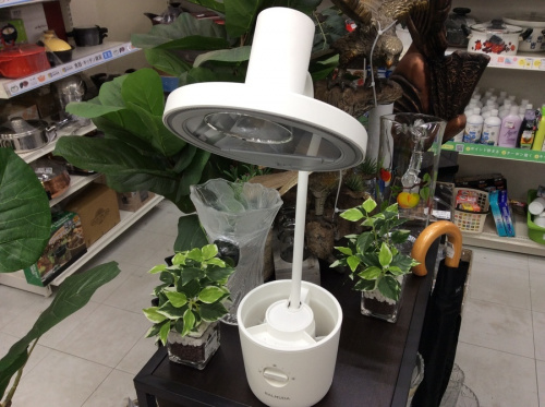 照明のデスクスタンド