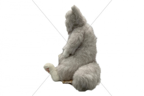 置物のcuddly