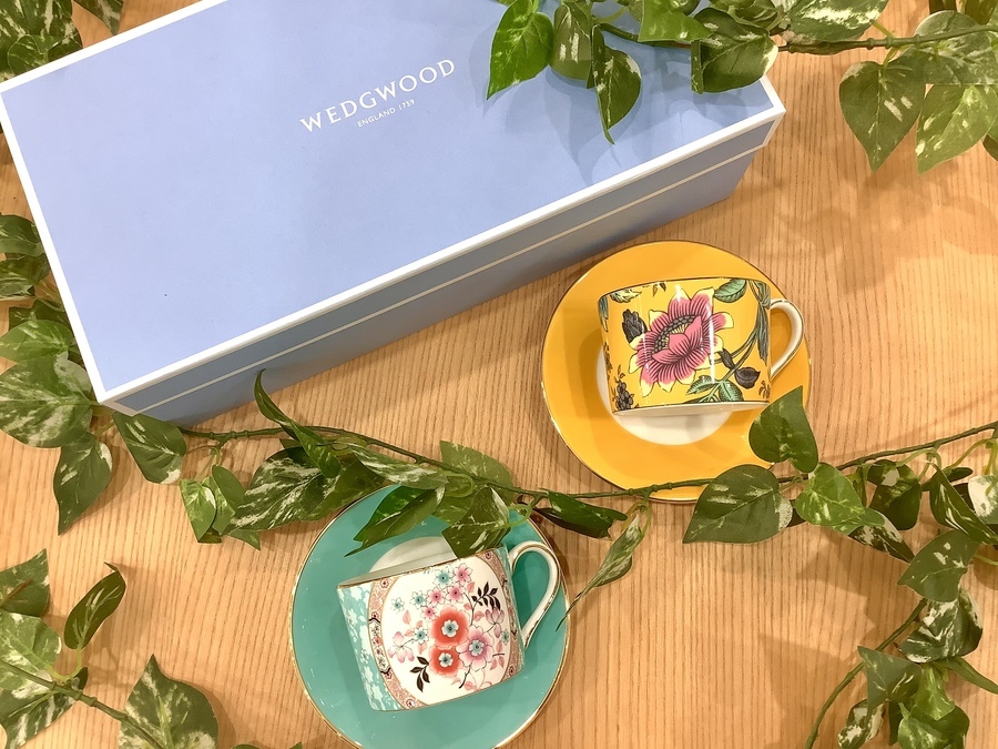 WEDGWOOD(ウェッジウッド)イエロートンキン・カメリア入荷！｜2022年04