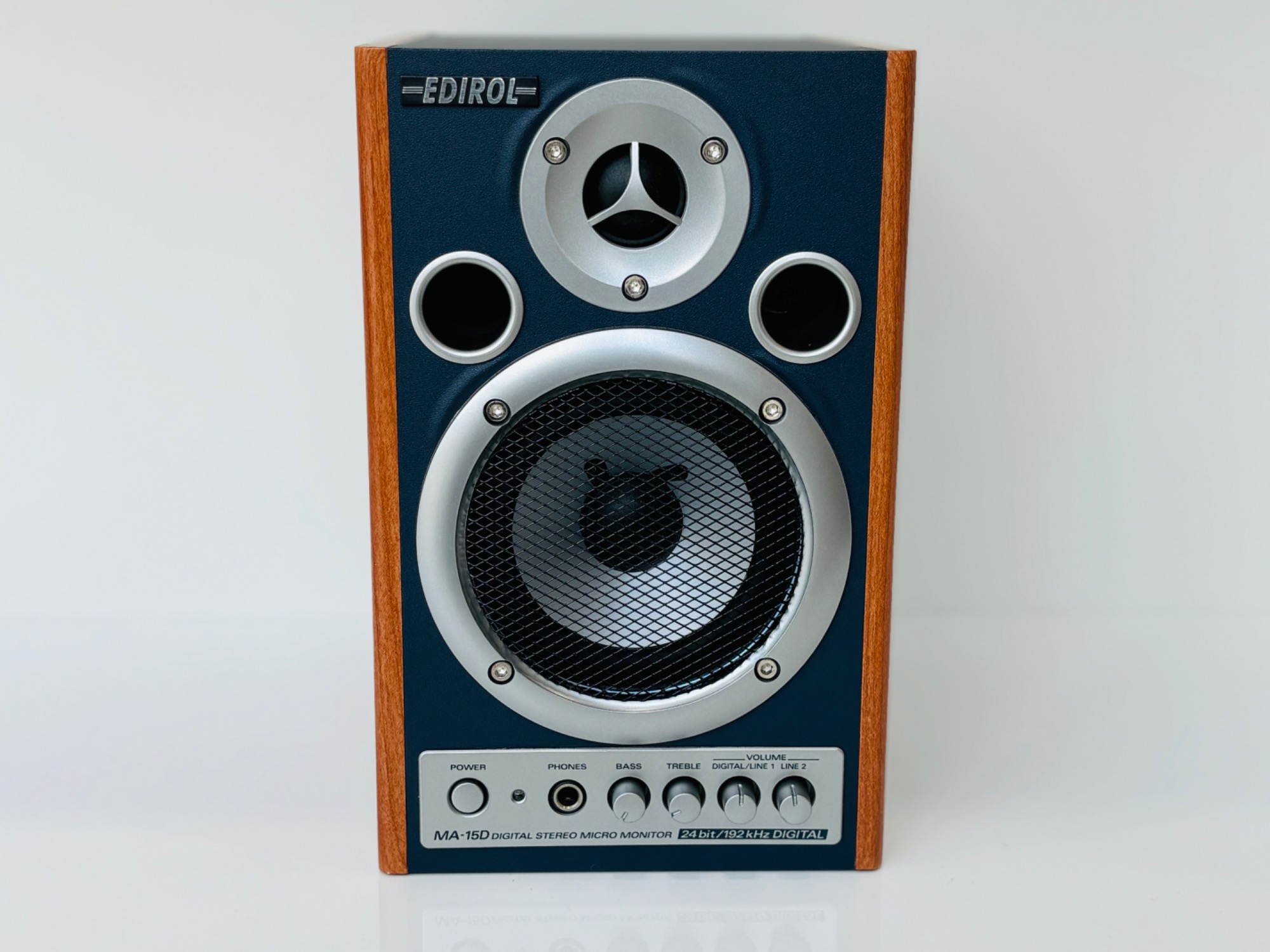 ローランド　Roland　出力30Wモニタースピーカー(有線マイク２本・ソフトケース付きセット) | 楽器のことならメリーネット