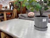 トレファク高槻店ブログ