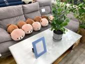 トレファク高槻店ブログ
