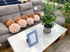 トレファク高槻店ブログ