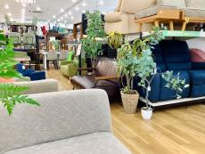 トレファク高槻店ブログ