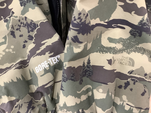THE NORTH FACE(ノースフェイス)のノースフェイス