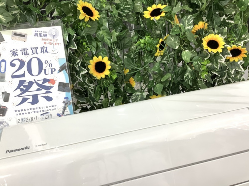Panasonicの夏物家電