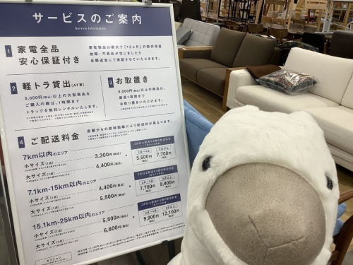 22年09月11日：画像８