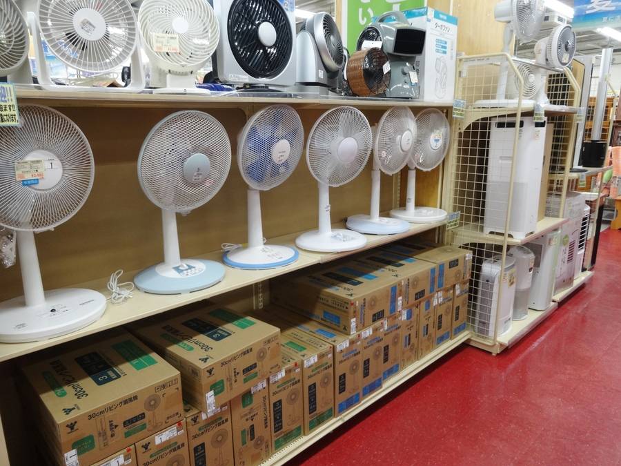 SHARP R-HDS 扇風機 2台セット　2019年製 SHARP R-HDS 扇風機 2台セット 2019年製 Amazon | シャープ