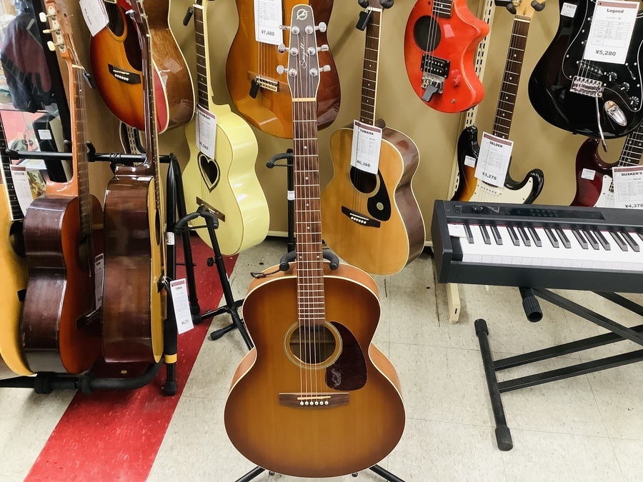 明日はトレポ5倍デー♪】Seagull(シーガル）Entourage Rustic