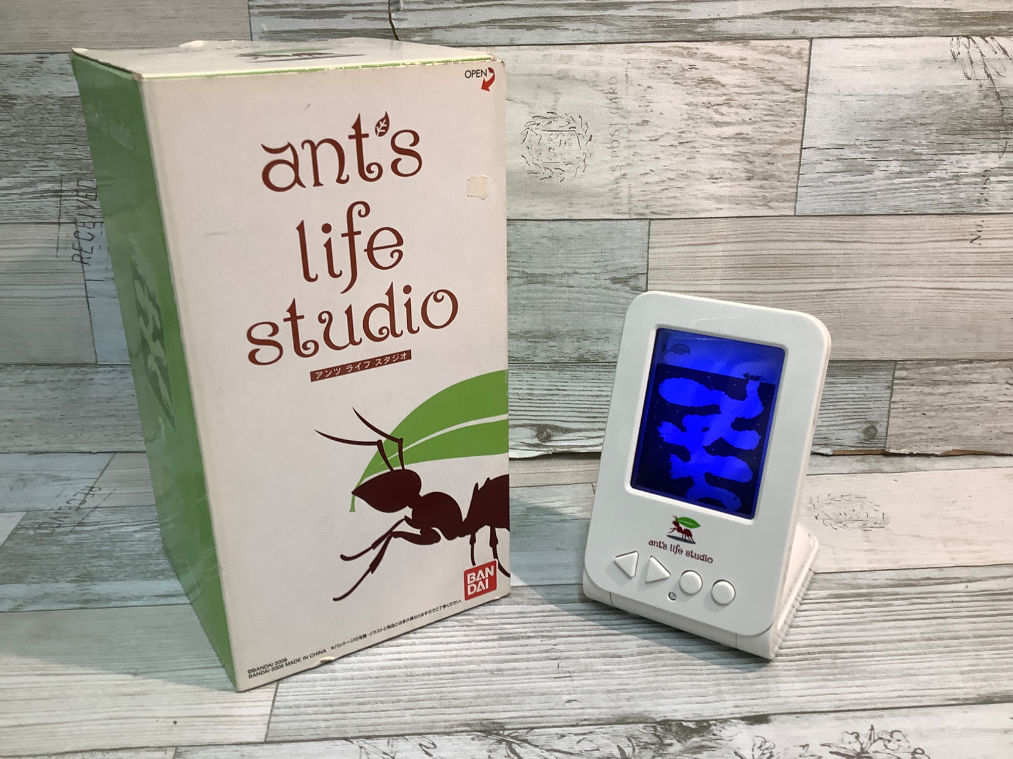 バンダイ アンツライフスタジオ ant's life studio 動作品 アリ 会社で“蟻の巣”を育ててみた――バンダイ「ants life studio」：レビュー