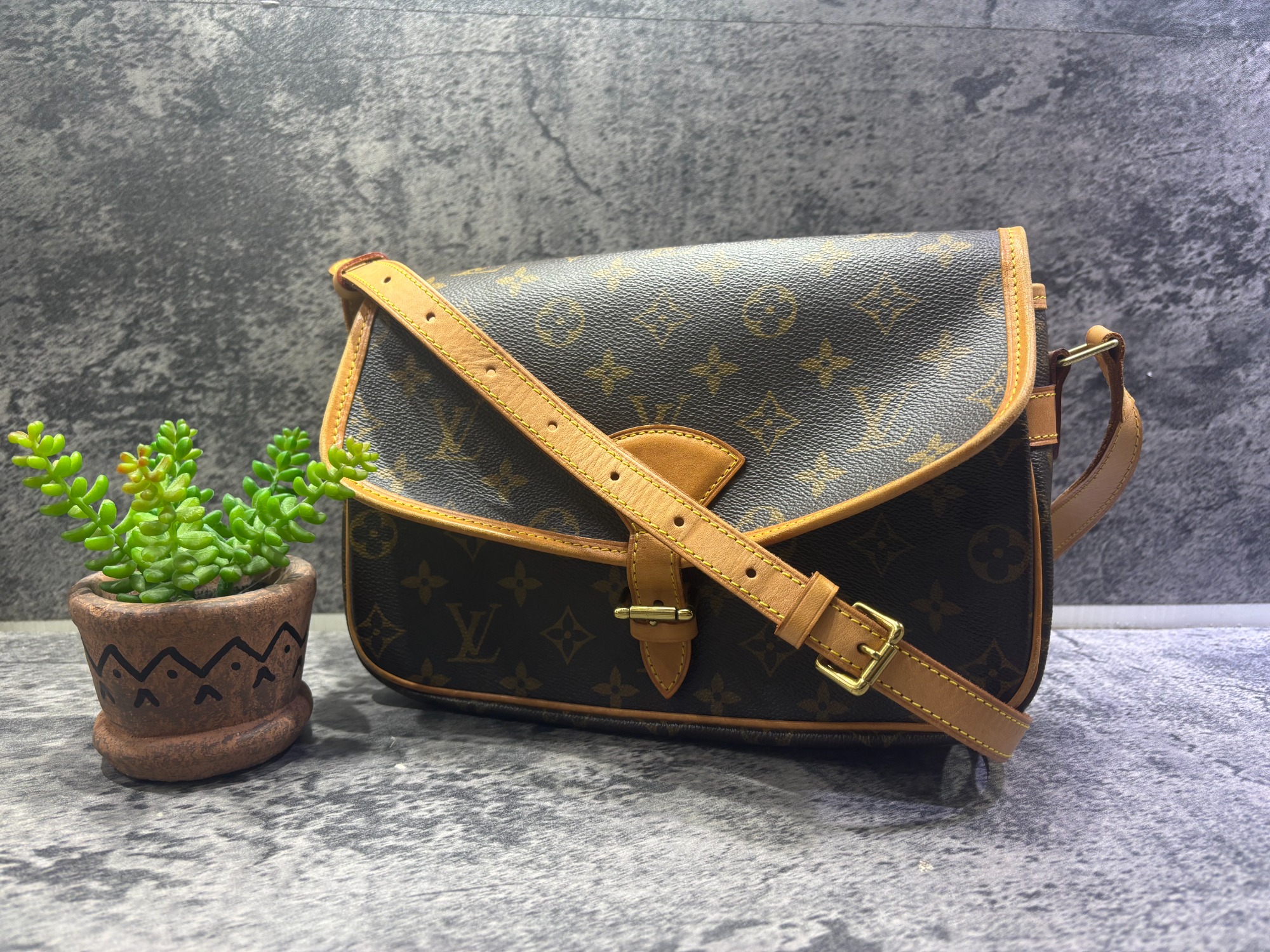 LOUIS VUITTON(ルイ・ヴィトン) モノグラムソローニュが買取入荷いたし