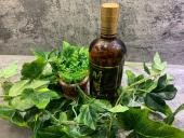 トレファク秦野店ブログ