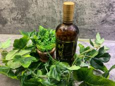 トレファク秦野店ブログ