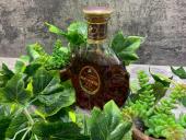 トレファク秦野店ブログ