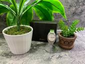 トレファク秦野店ブログ