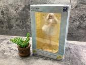 トレファク秦野店ブログ