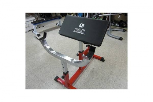 フィットネスのトレーニング