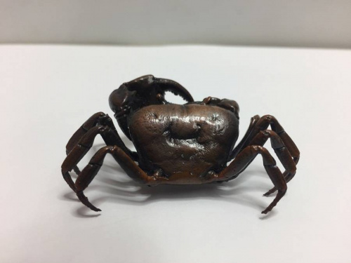 秦野　雑貨