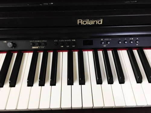 ROLANDのトレファク 秦野